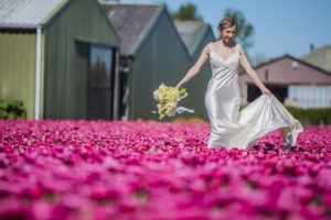 wedding in tulip fields