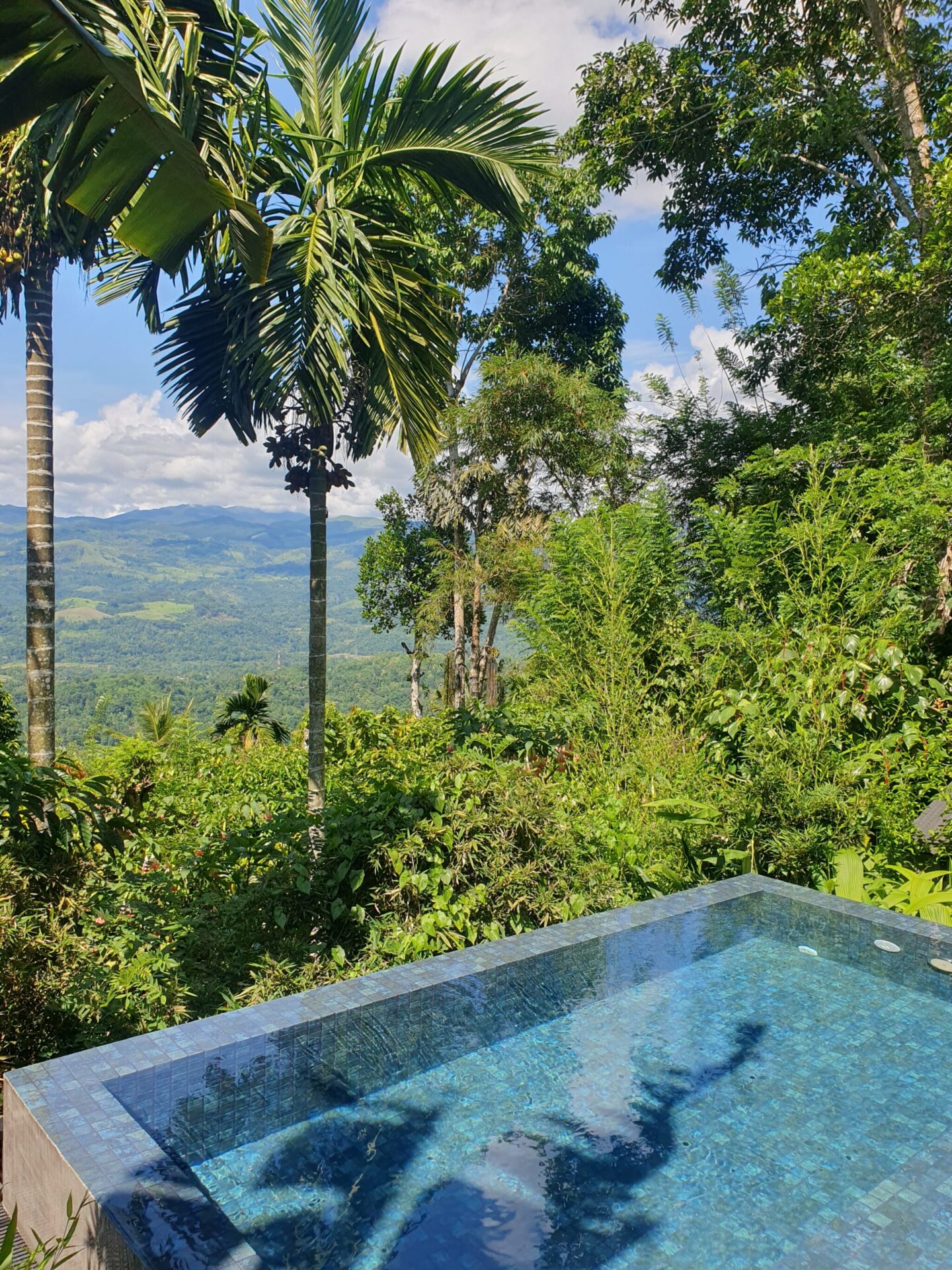 Private pool overlooking the lush Knuckles Mountains and jungle at Aarunya Nature Resort, Sri Lanka