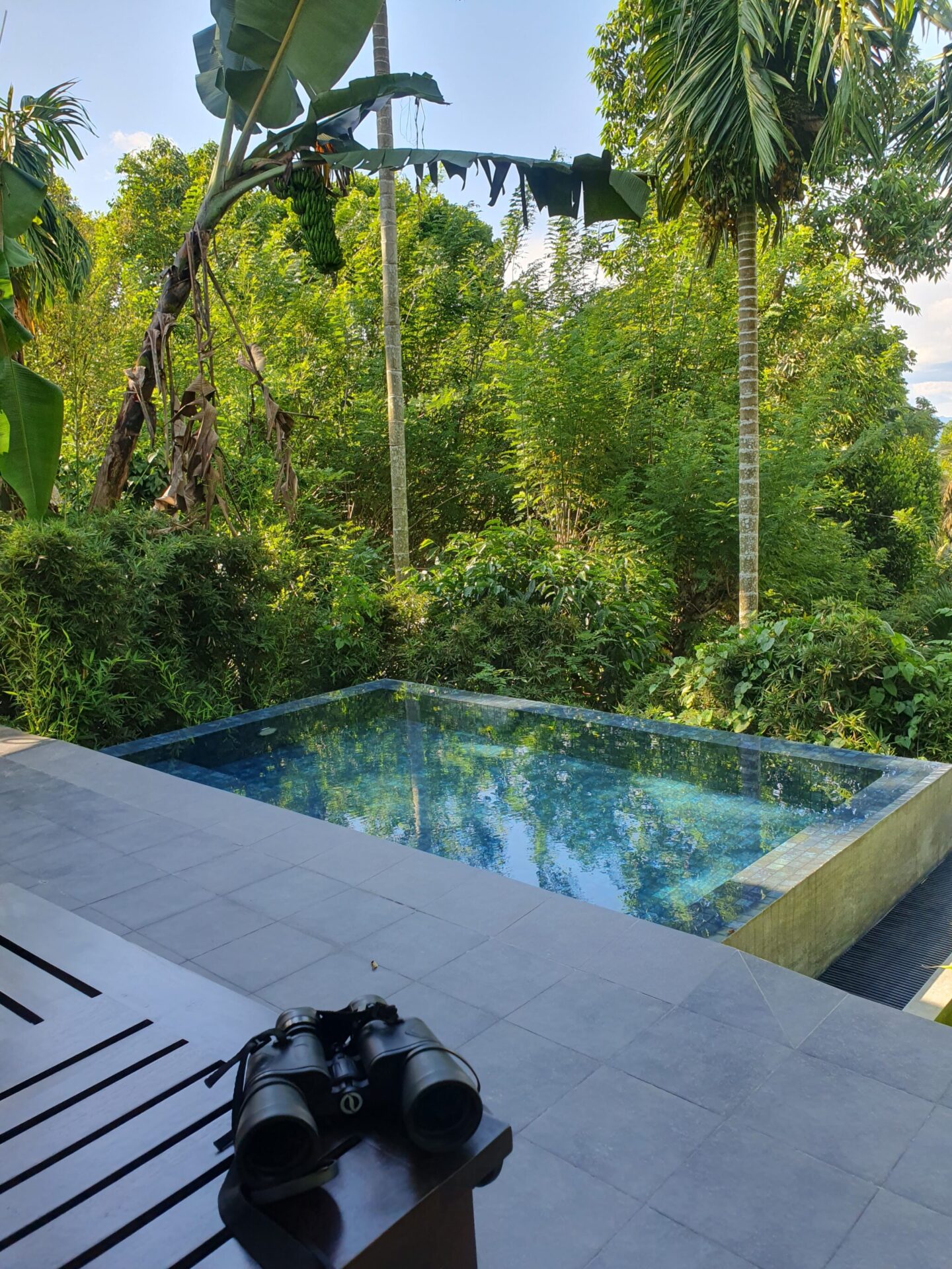 Private plunge pool with a telescope on the terrace table at Aarunya, set against palm trees and lush jungle
