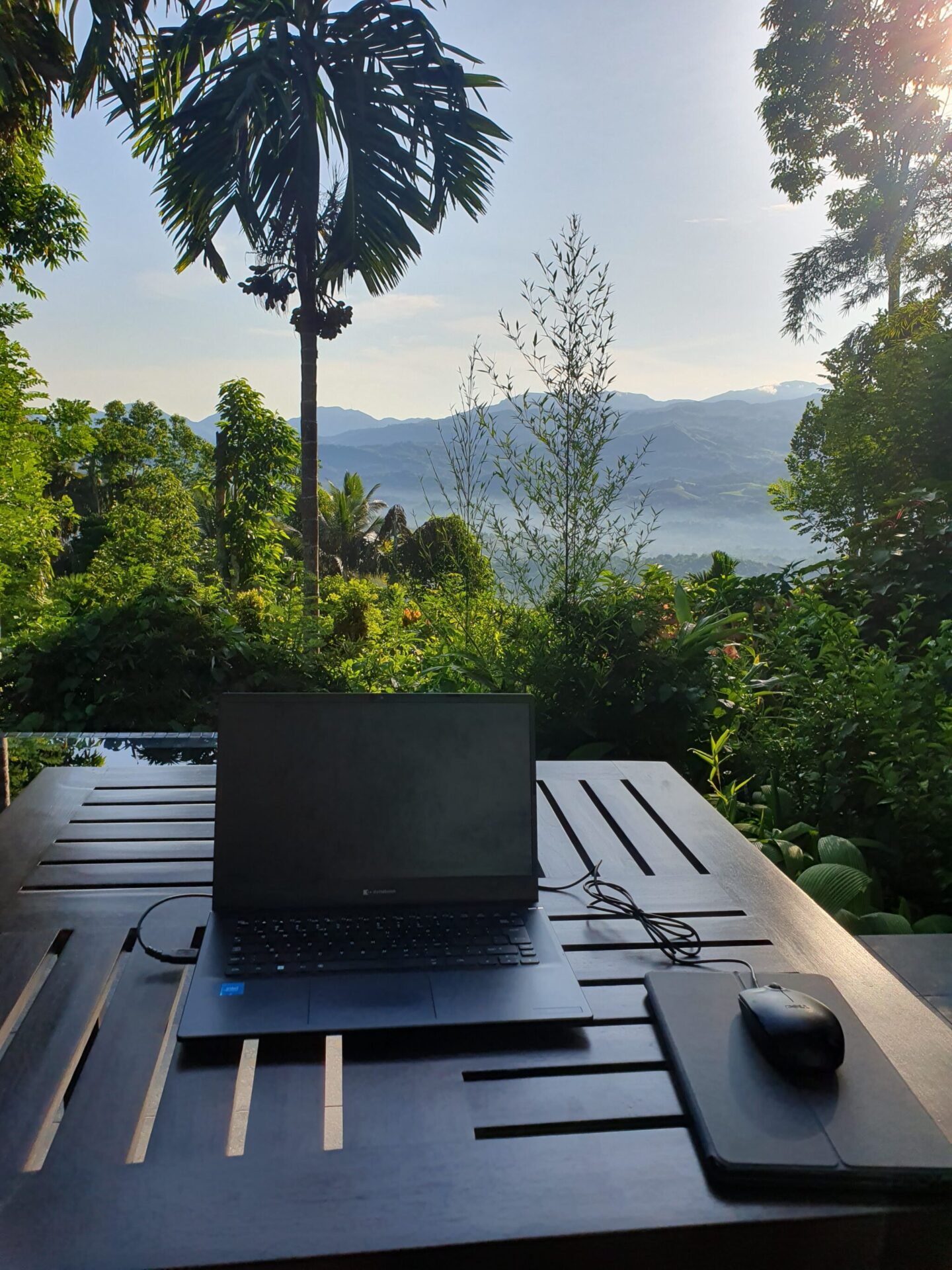 Laptop on terrace table at Aarunya with view of private plunge pool, palm trees and the Knuckles Mountains
